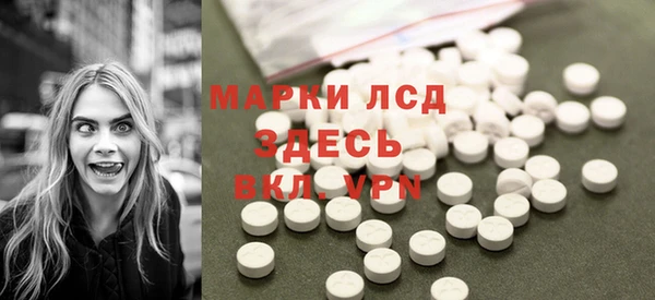 спиды Вяземский