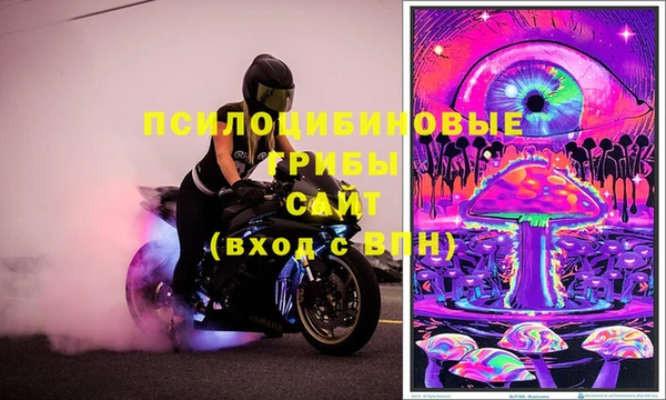 МДПВ Вязники