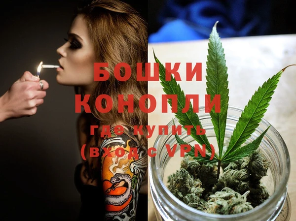 спиды Вяземский