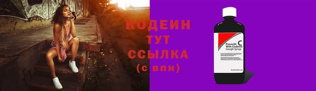 спиды Вяземский