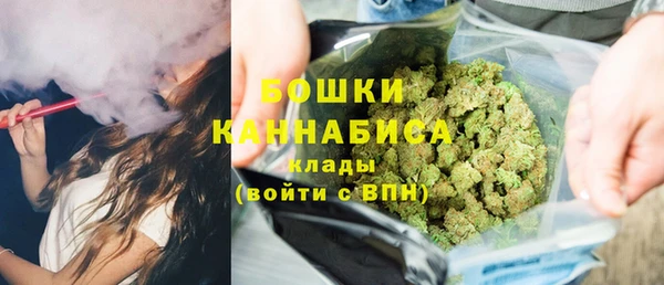 спиды Вяземский
