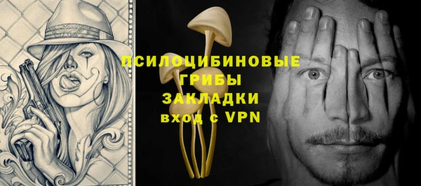прущий лед Верея