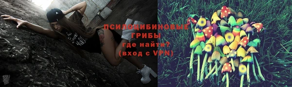 первитин Вязьма