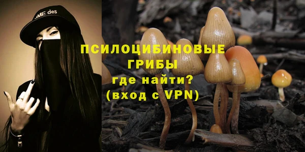 МДПВ Вязники