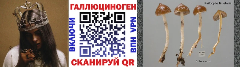 omg зеркало Ивантеевка Галлюциногенные грибы мухоморы